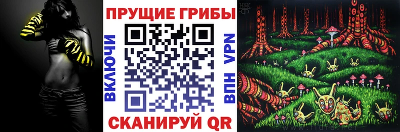 Галлюциногенные грибы Psilocybine cubensis  Белинский 